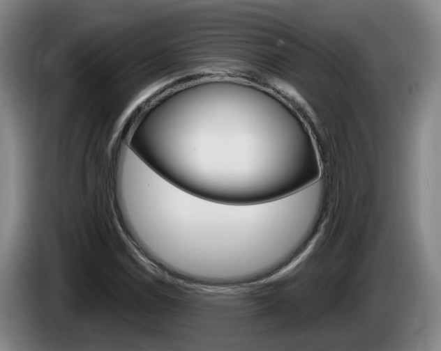 X0000085321114200703091109