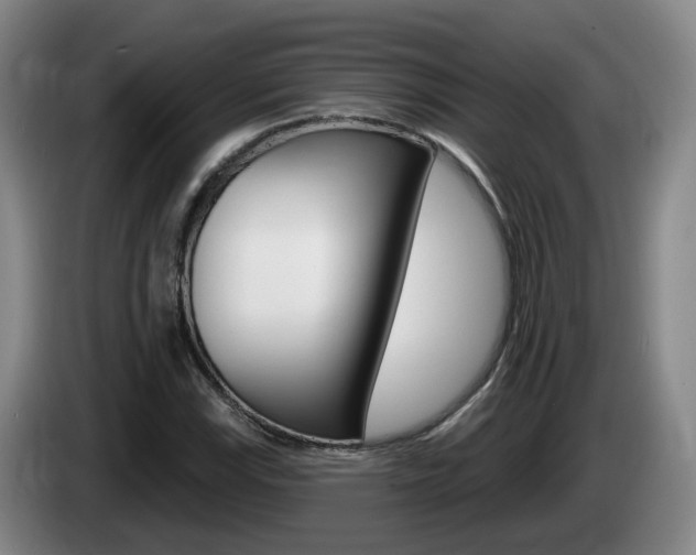 X0000085321115200703091109