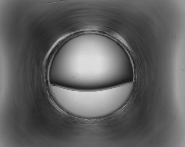X0000085321116200703091109