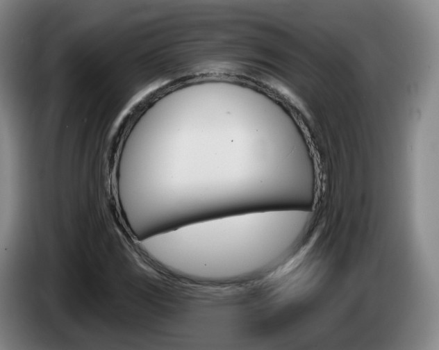 X0000085321117200703091109