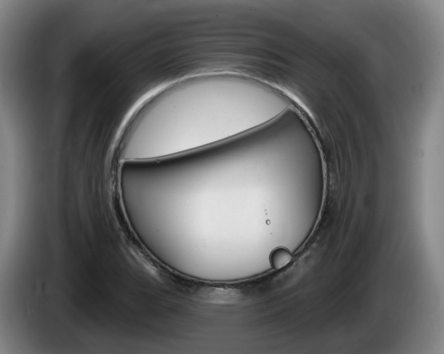 X0000085321119200703091109