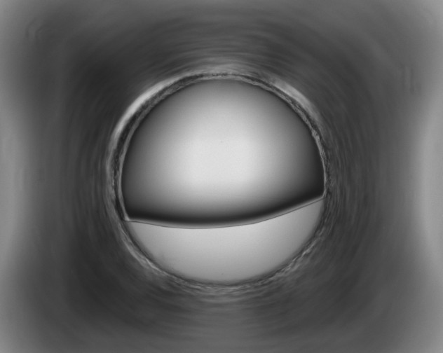 X0000085321120200703091109