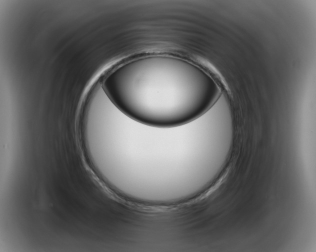 X0000085321122200703091109