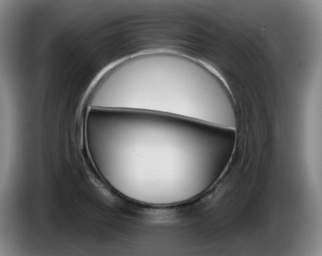 X0000085321127200703091109