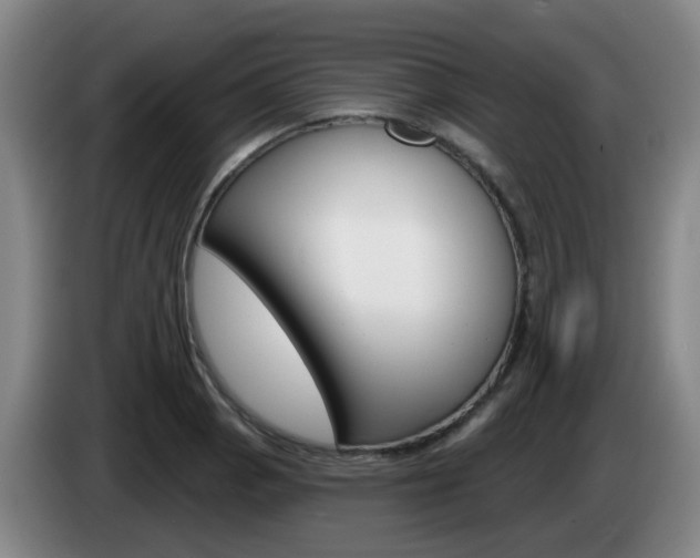 X0000085321129200703091109