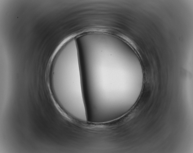 X0000085321131200703091109