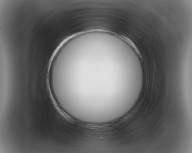 X0000085321132200703091109
