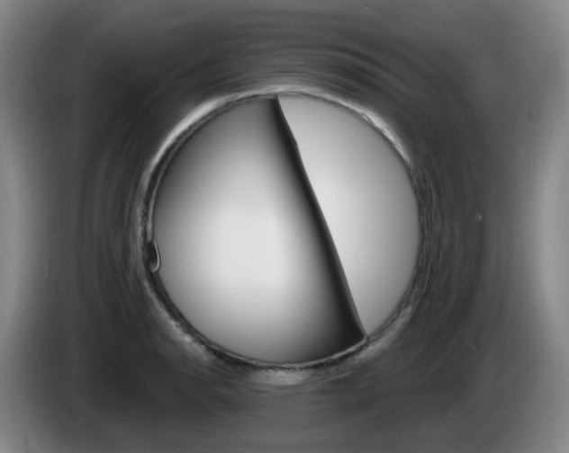 X0000085321134200703091109