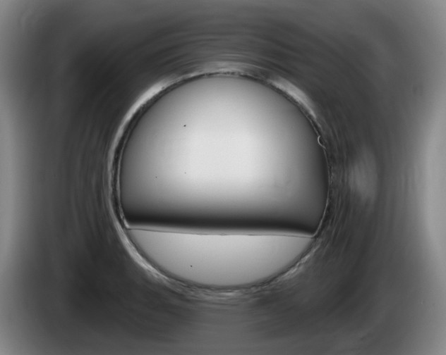 X0000085321135200703091109