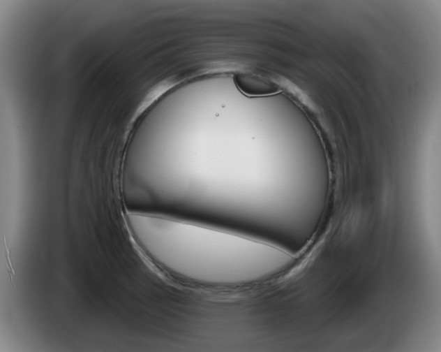 X0000085321137200703091109