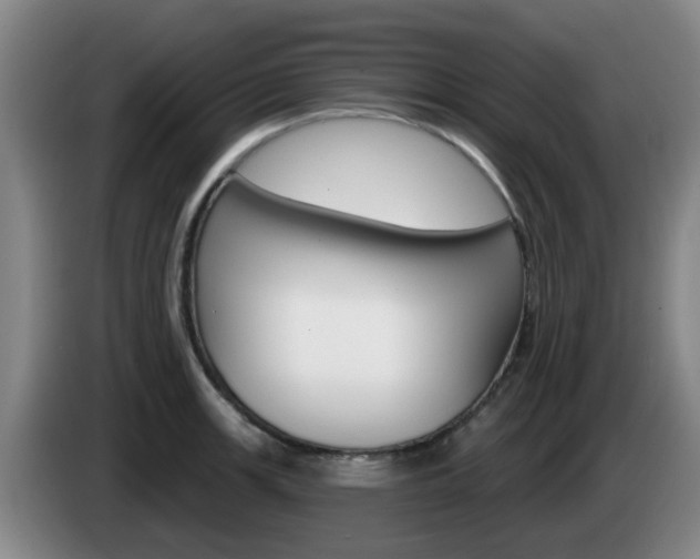X0000085321139200703091109