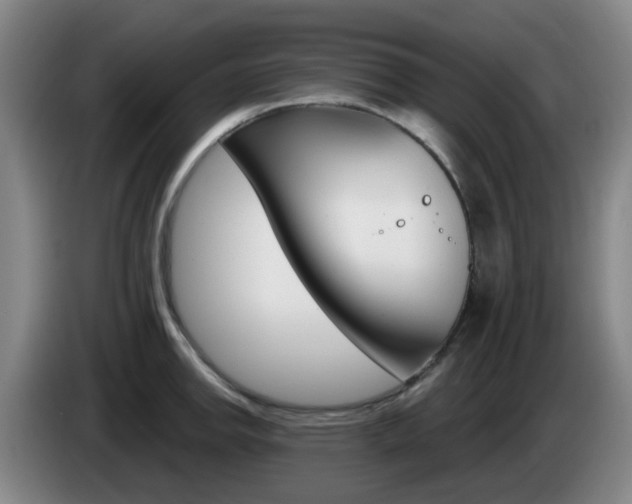 X0000085321142200703091109