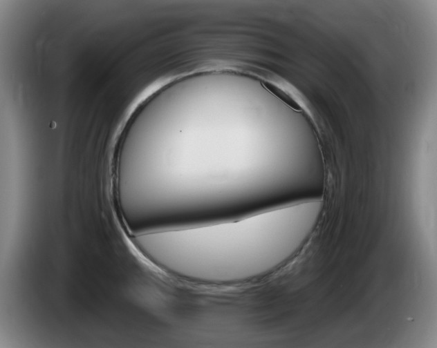 X0000085321143200703091109