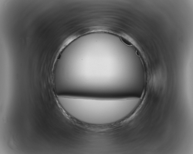 X0000085321145200703091109