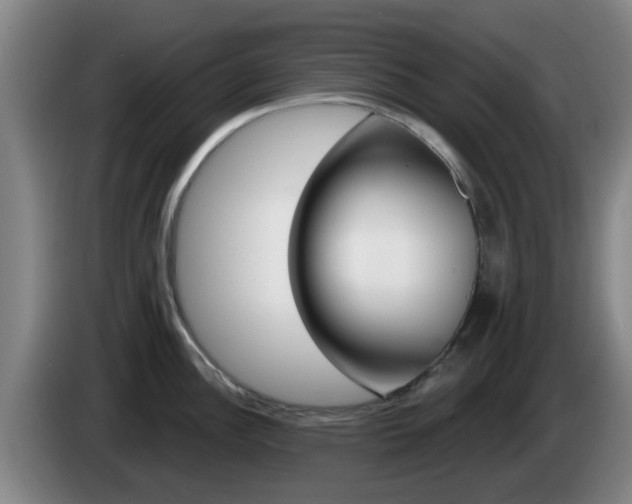 X0000085321148200703091109