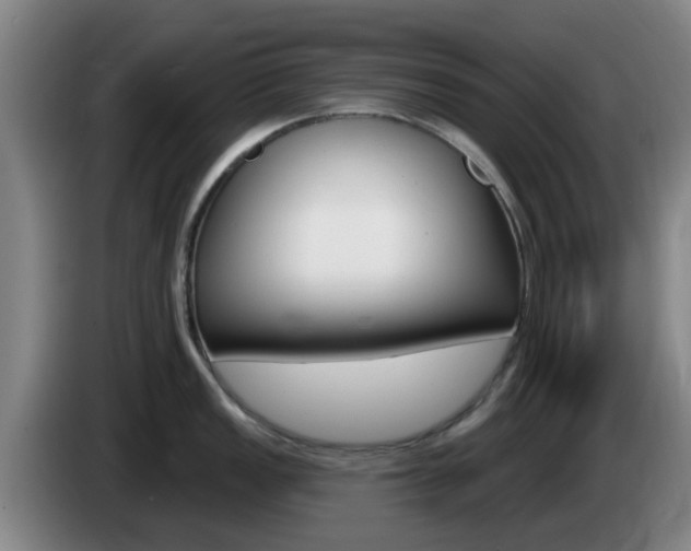 X0000085321149200703091109