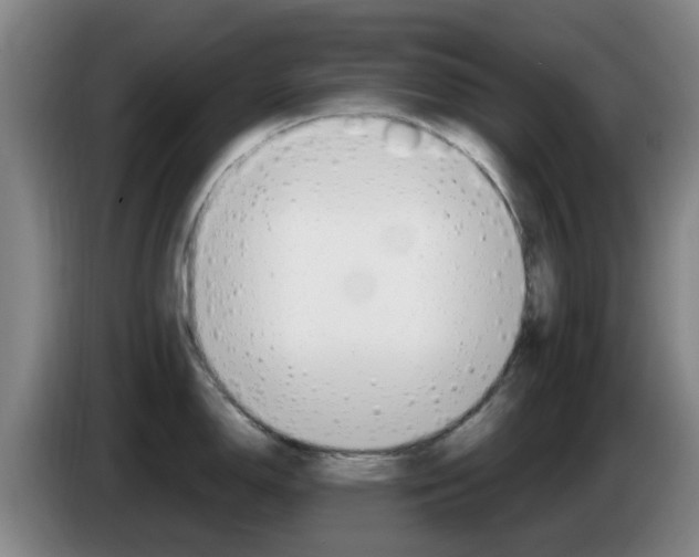 X0000085321150200703091110