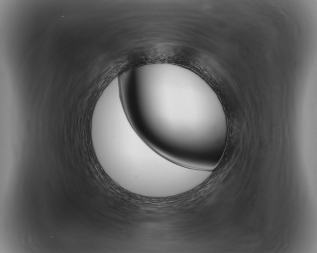 X0000085321153200703091109