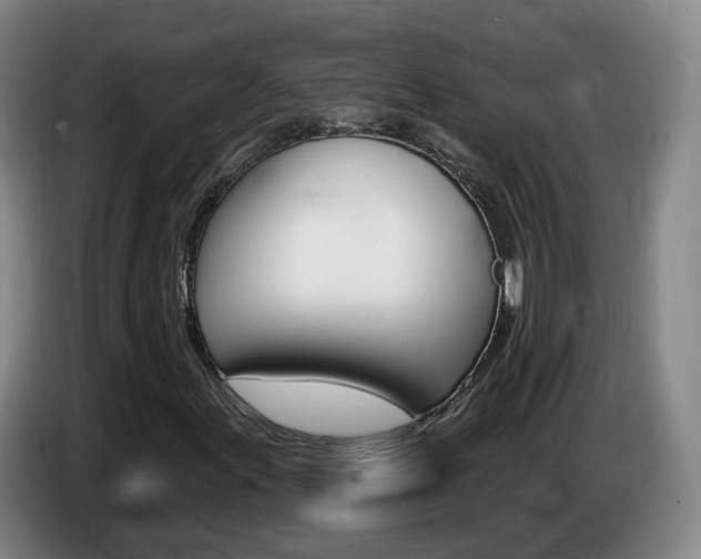 X0000085321155200703091109