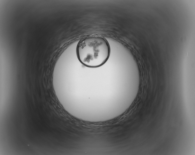 X0000085321157200703091109