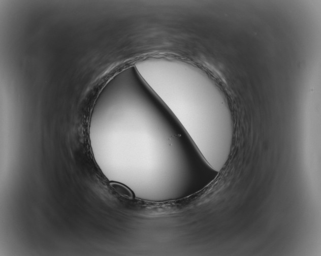 X0000085321159200703091109