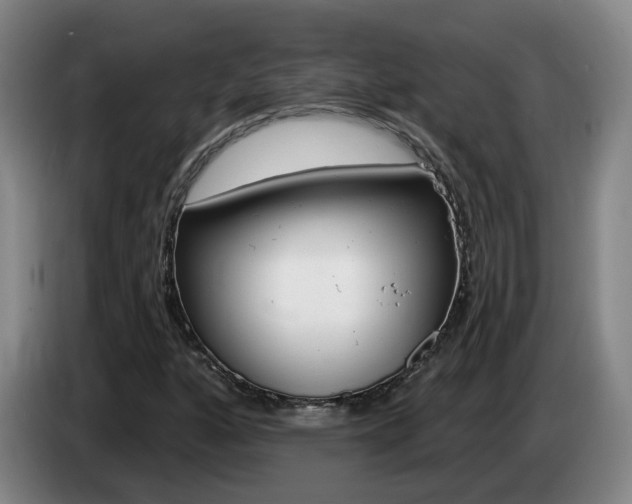 X0000085321160200703091109