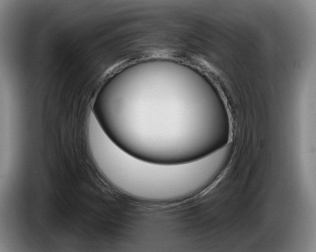X0000085321161200703091109