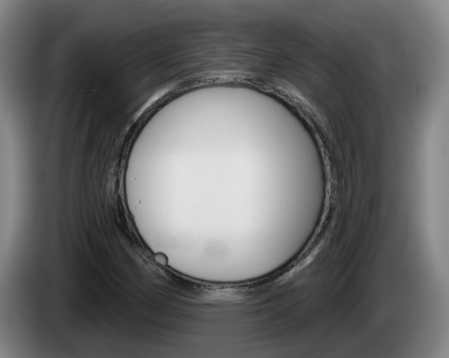 X0000085321162200703091109