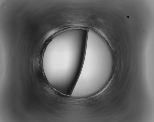 X0000085321163200703091109