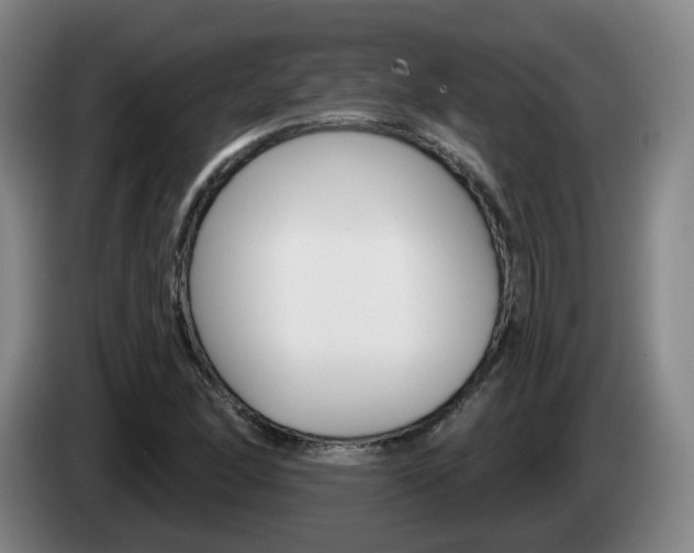 X0000085321166200703091109