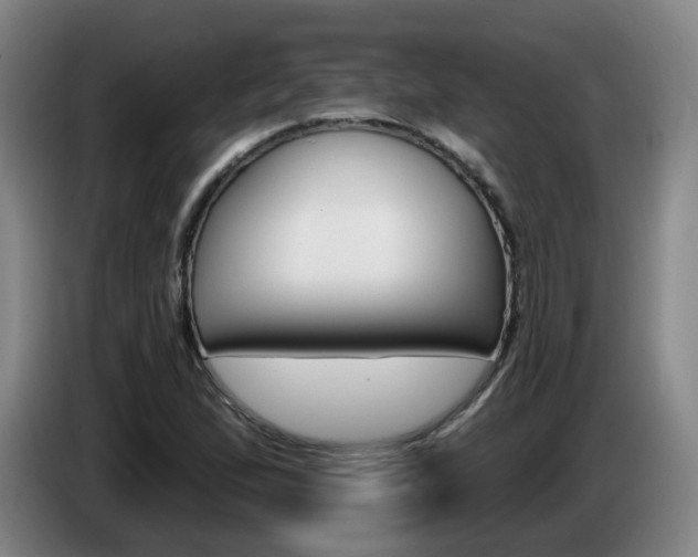 X0000085321167200703091109