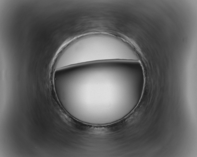 X0000085321168200703091109