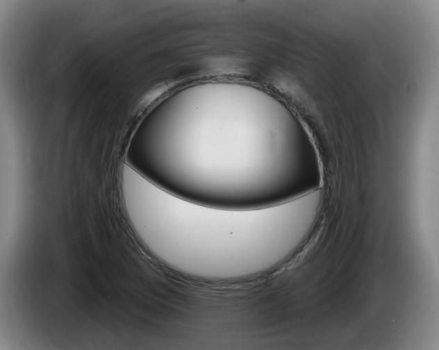 X0000085321169200703091109