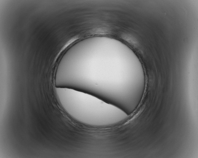 X0000085321170200703091109
