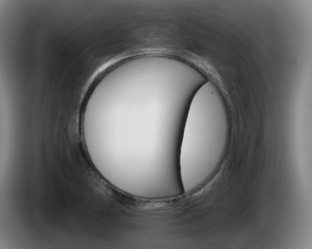 X0000085321174200703091109