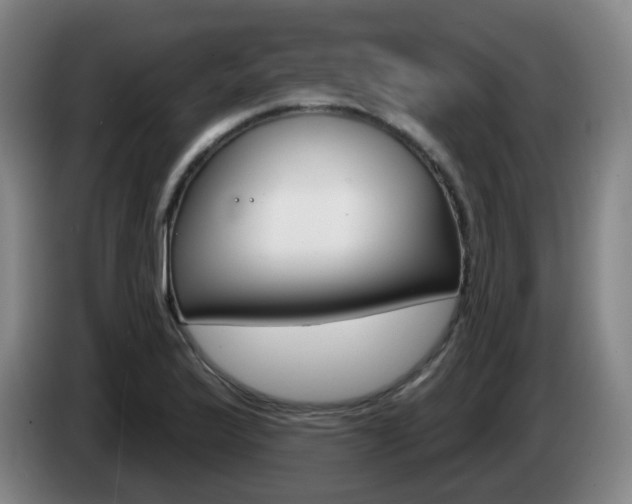 X0000085321175200703091109