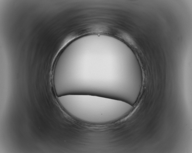 X0000085321178200703091109
