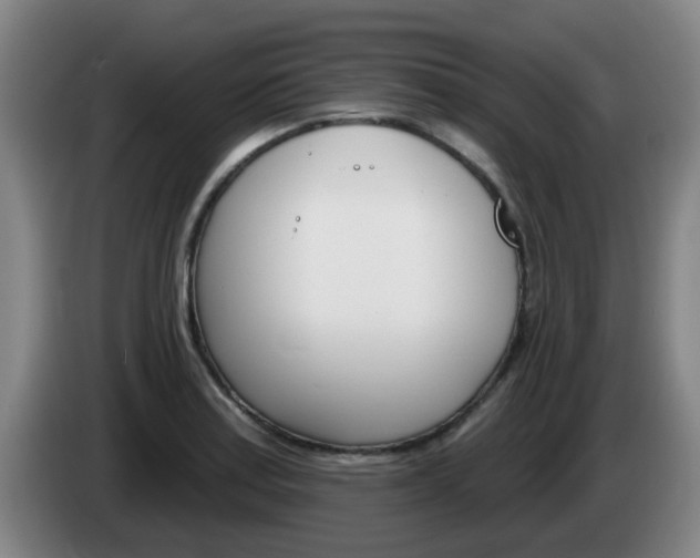 X0000085321179200703091109