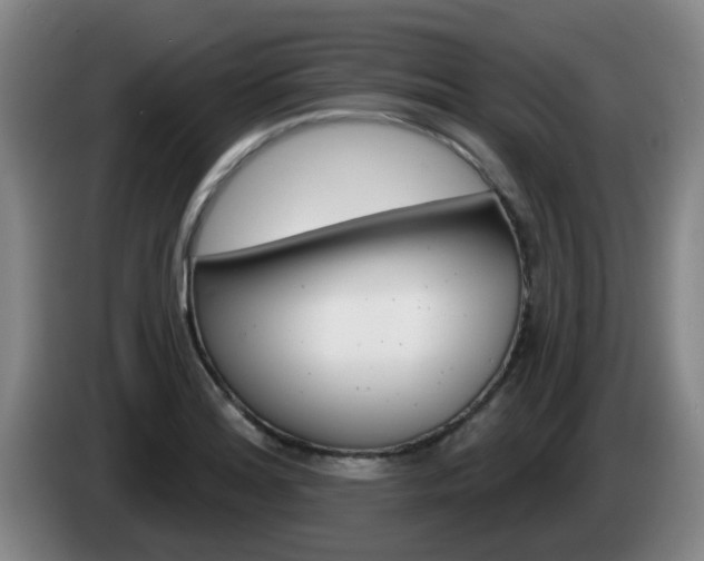 X0000085321180200703091109