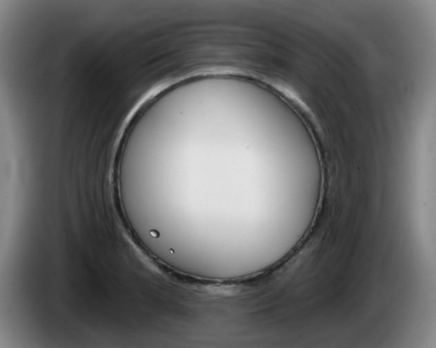 X0000085321181200703091109