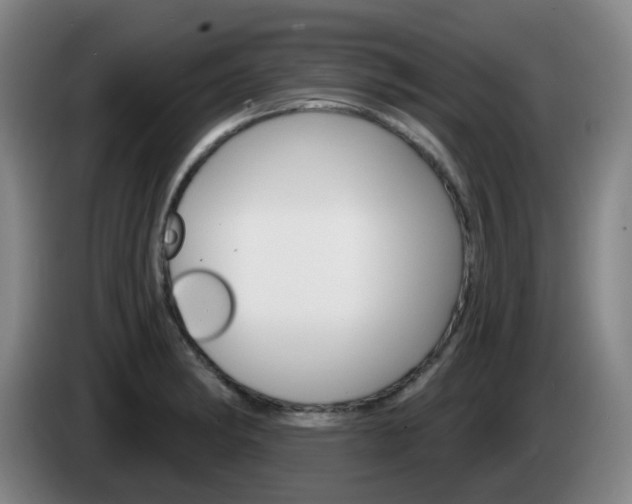 X0000085321182200703091108