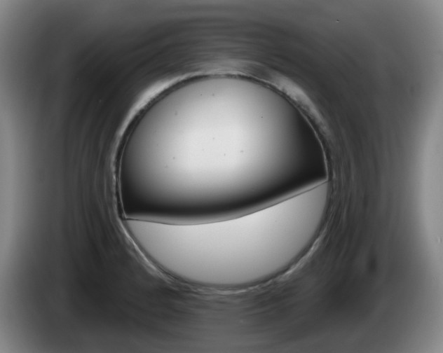X0000085321184200703091108