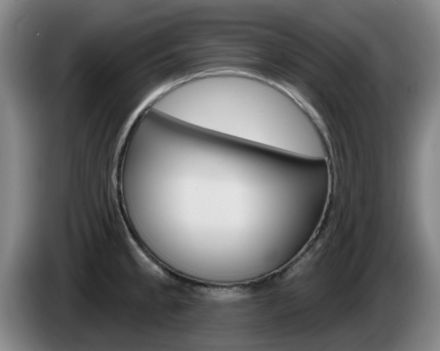 X0000085321189200703091108