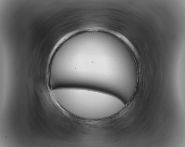 X0000085321191200703091108