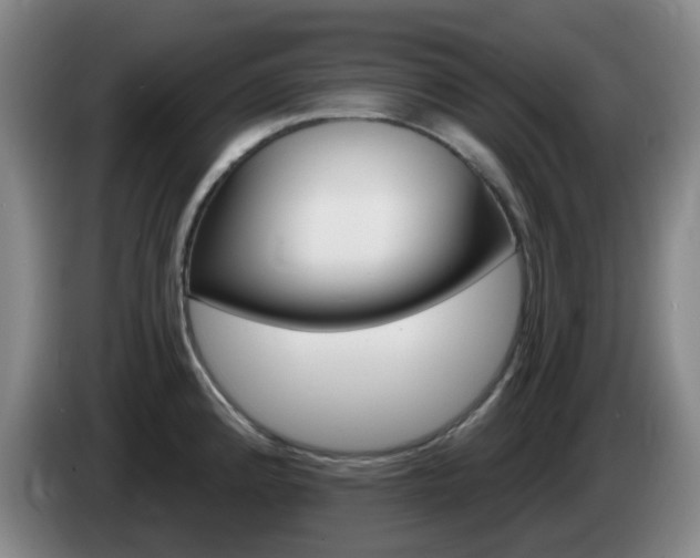 X0000085321192200703091108