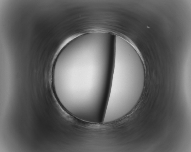 X0000085321195200703091108