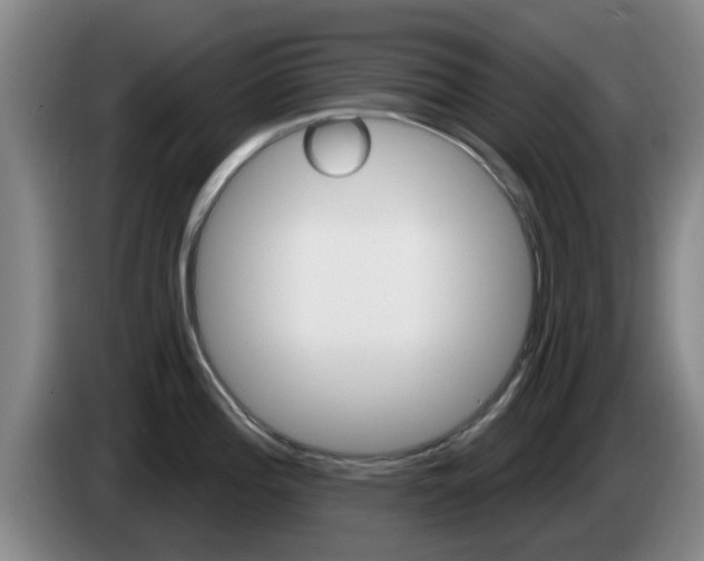 X0000085321196200703091108