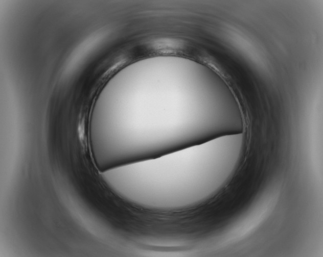 X0000085321198200703091108