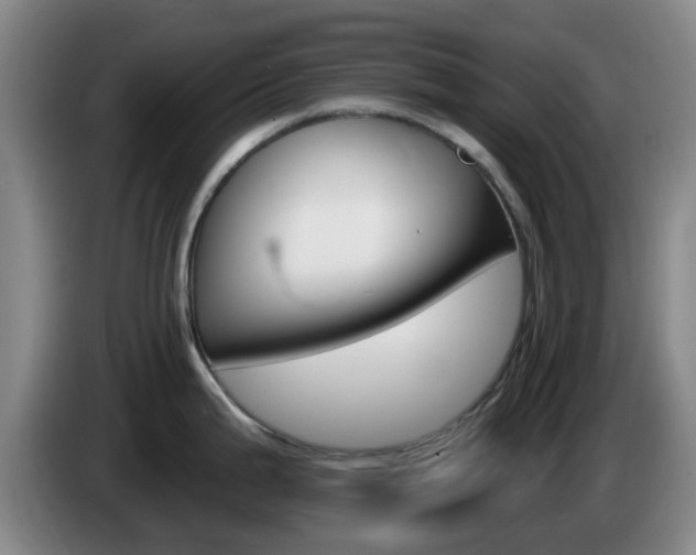 X0000085321199200703091108
