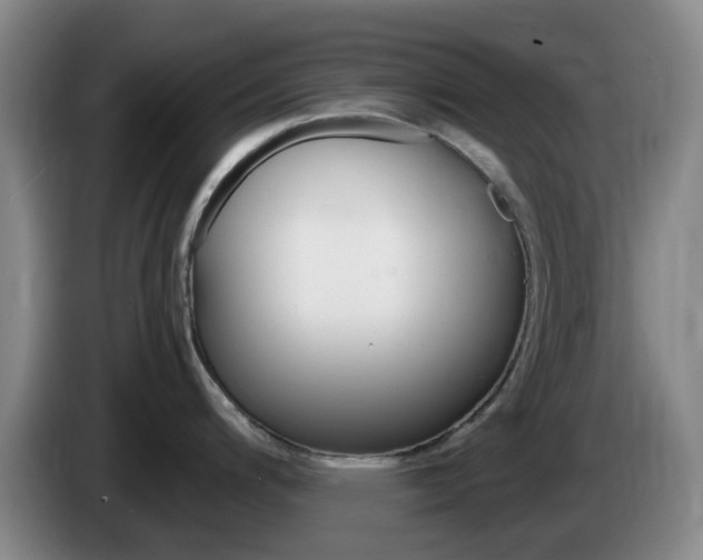 X0000085321200200703091108